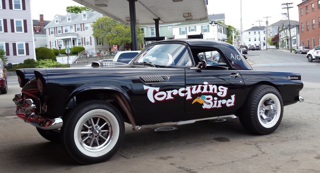 Tony\'s Torquing Bird a rs.jpg