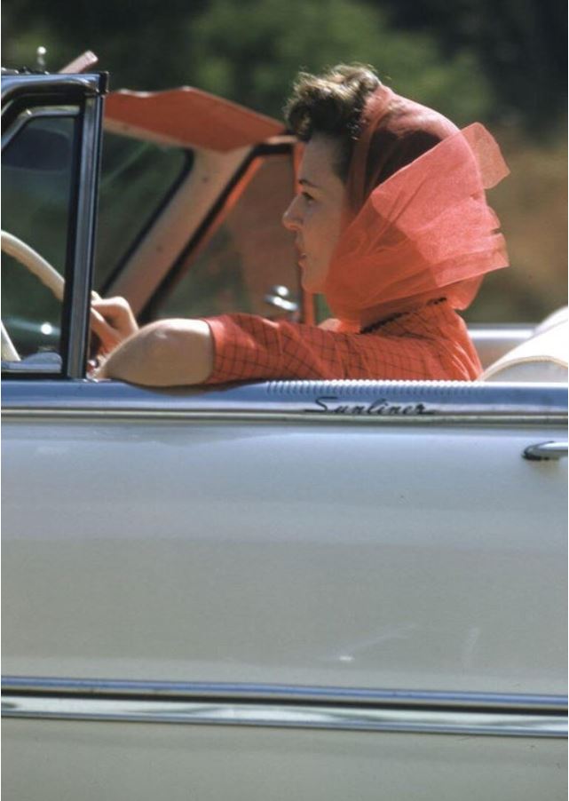 TopDown.JPG