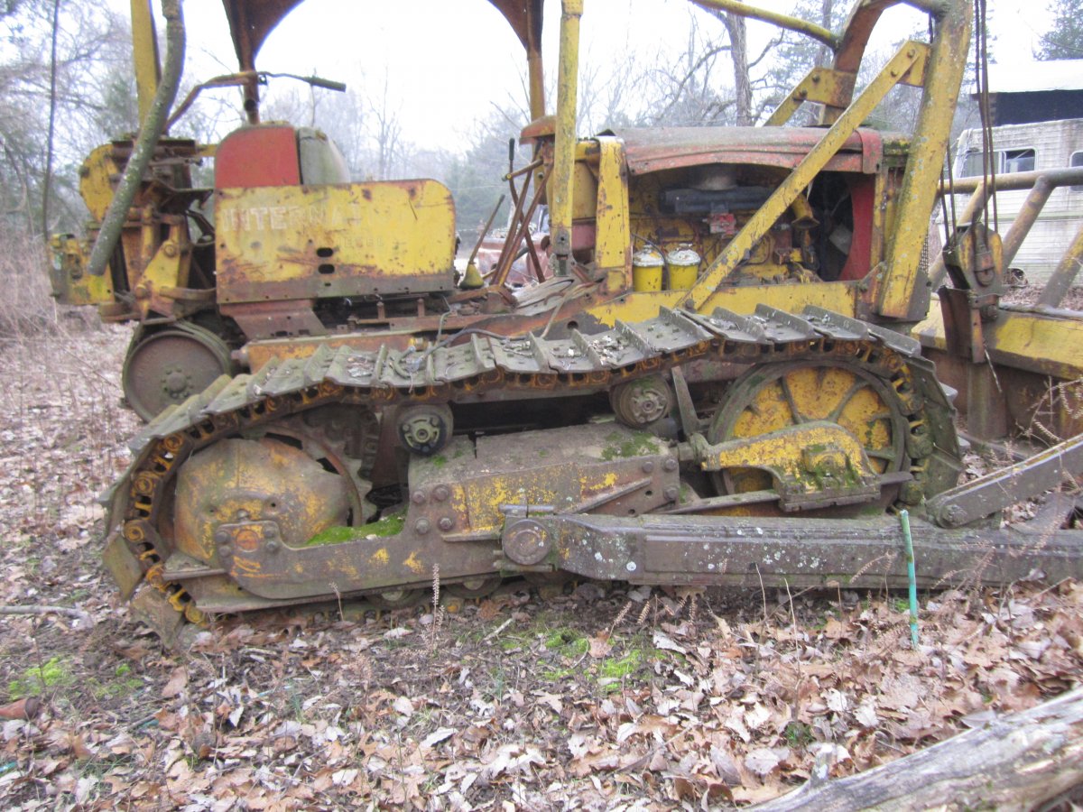 trees bulldozer 005.JPG