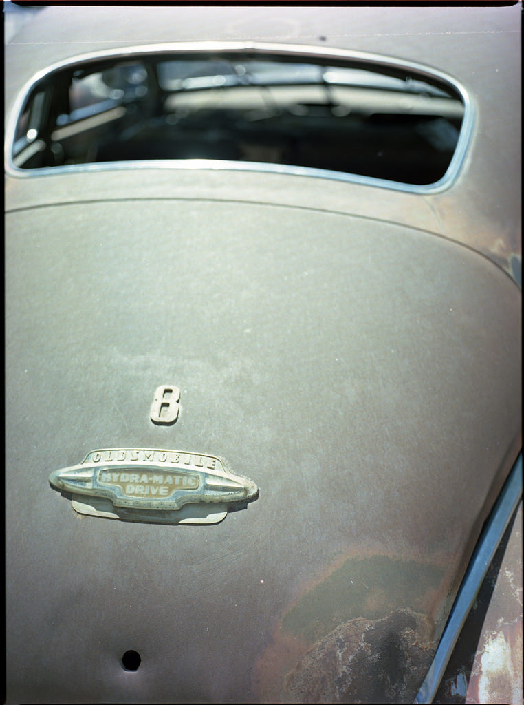 Trunk.jpg