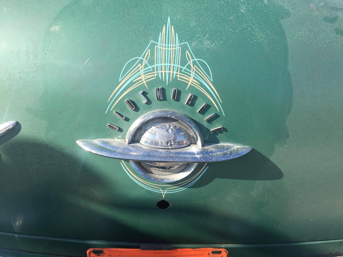 trunk stripes.jpg