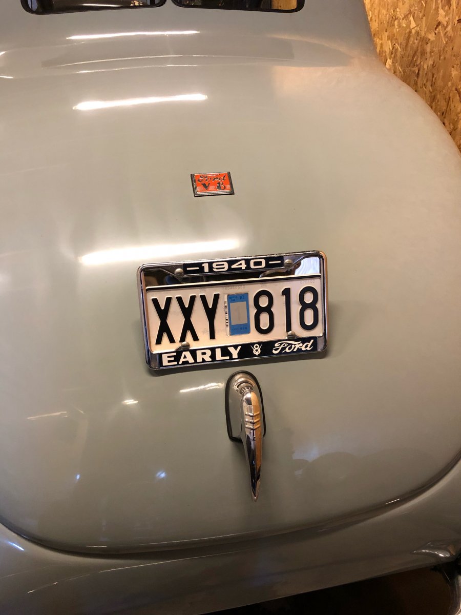 Trunk1.jpeg