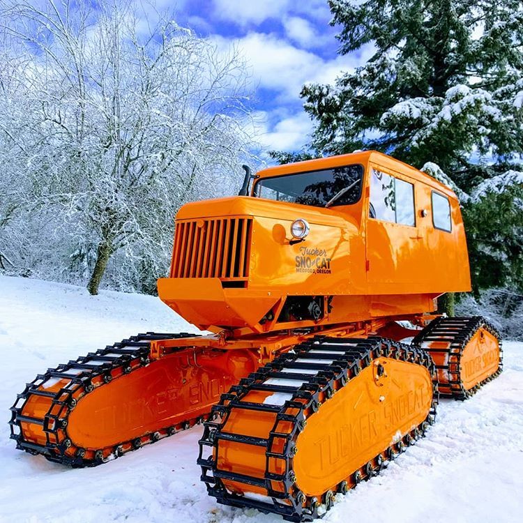tucker sno - cat.jpg