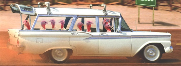 Turkeys in a wagon.jpg