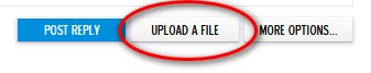 UPLOAD A FILE  box.jpg