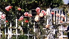 upload_2019-3-12_4-45-37.png