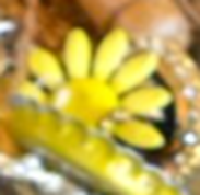 upload_2025-4-19_22-8-10.png