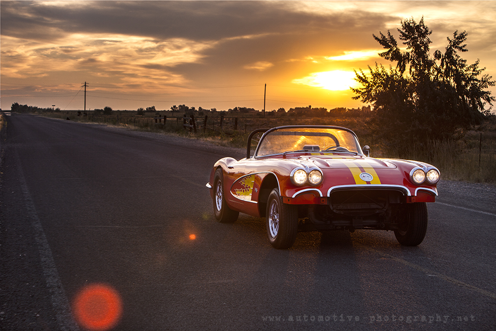 vette-3-web.jpg
