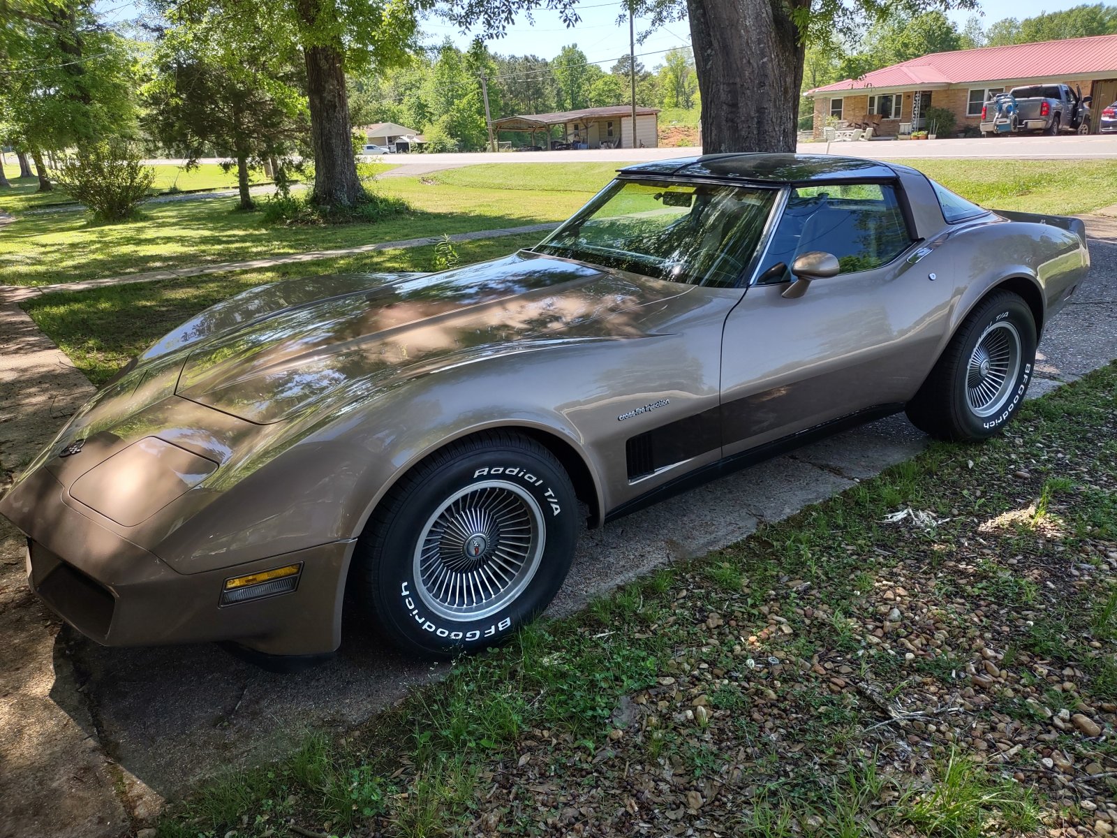 vette ds stripe.jpg