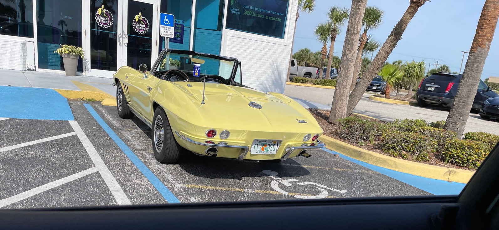 Vette.jpg