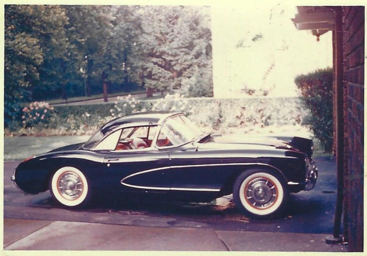 vette.png