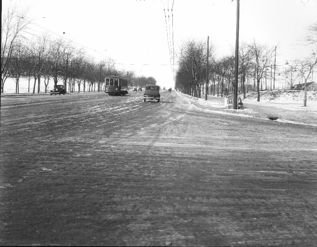 VM-147.jpg