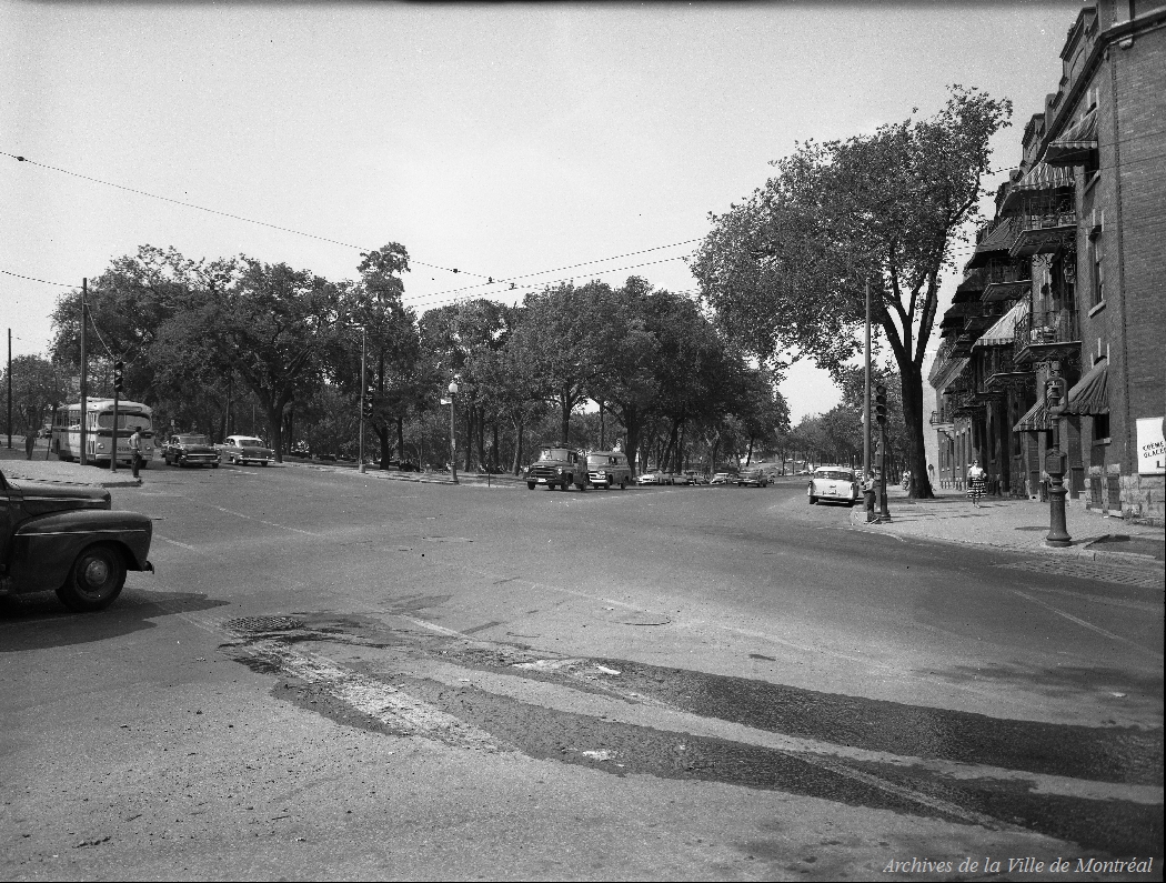 VM105-Y-1_0608-006.jpg