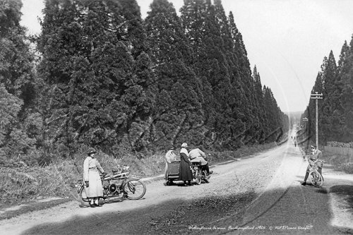 wellingtonia-avenue-1926.jpg