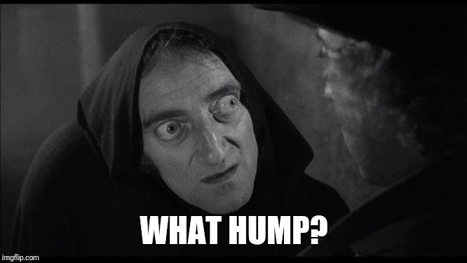 what hump.jpg
