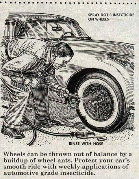 WheelAnts.jpeg