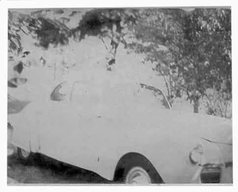 white c.jpg