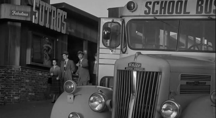 whitebus3.jpg