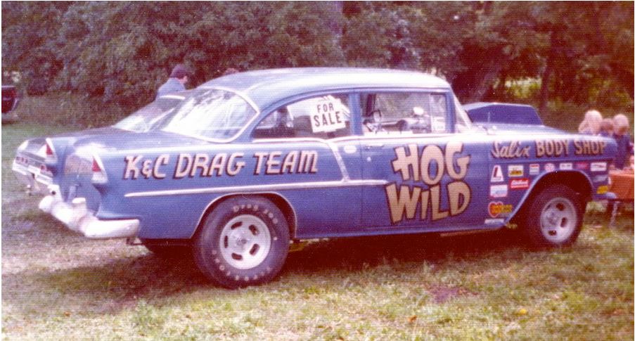 wild hog.JPG