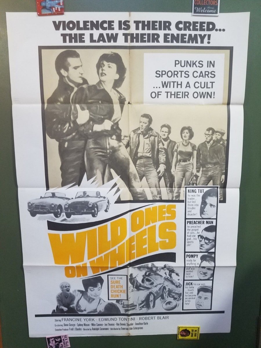 wild ones on wheels 1 sheet.jpg