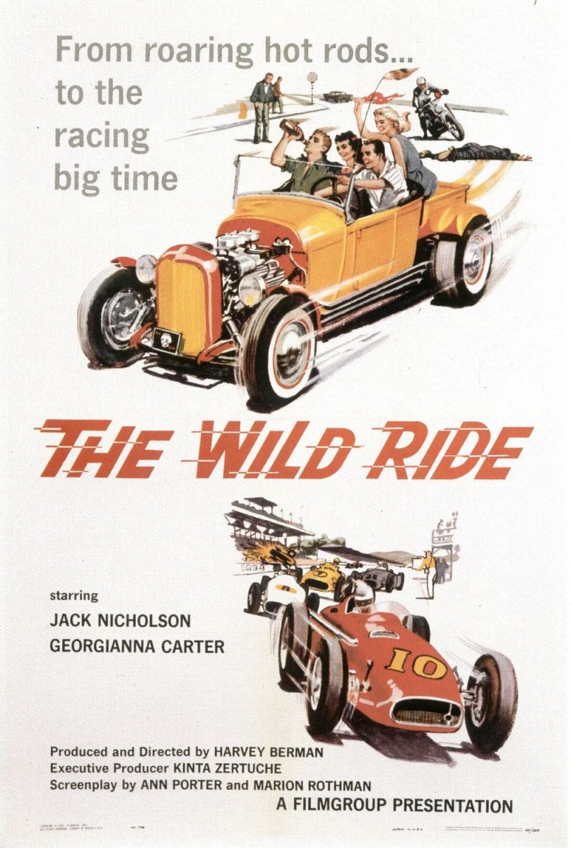 wild ride 1 sheet.jpg