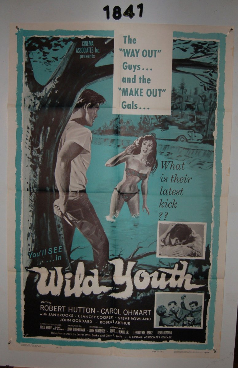 wild youth 1 sheet.jpg