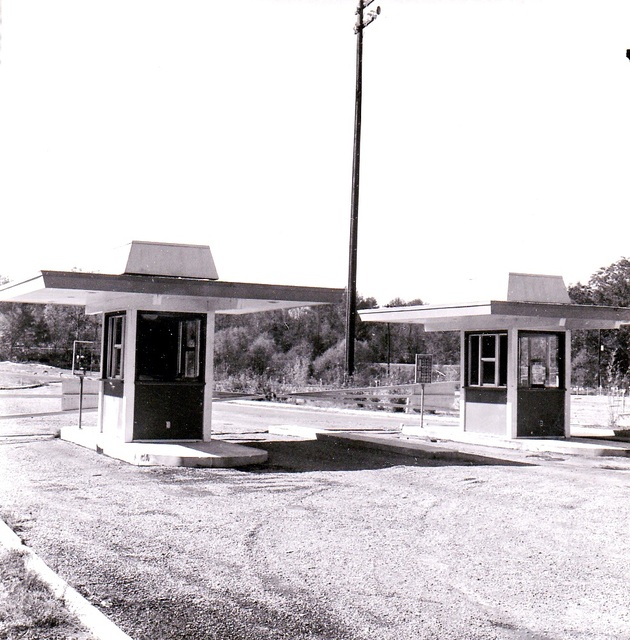 Wise Drive In 5.jpg