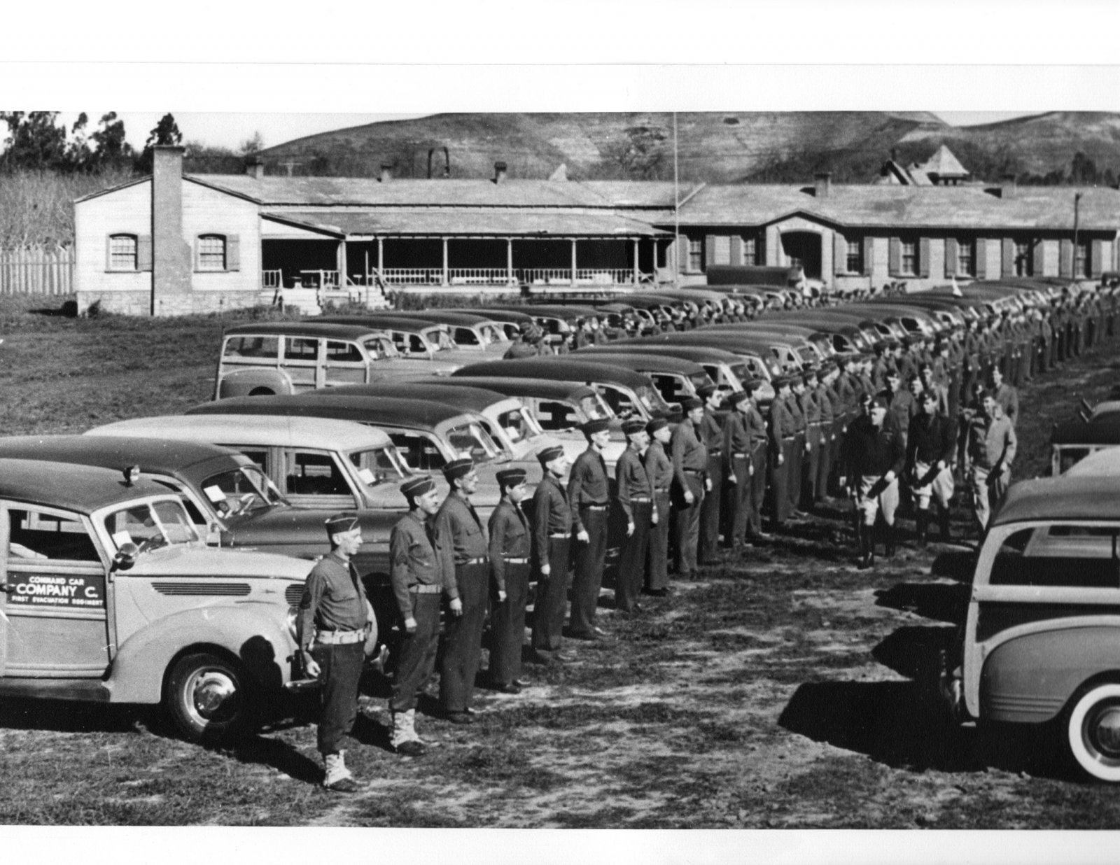 Woodies – Left 1.jpg