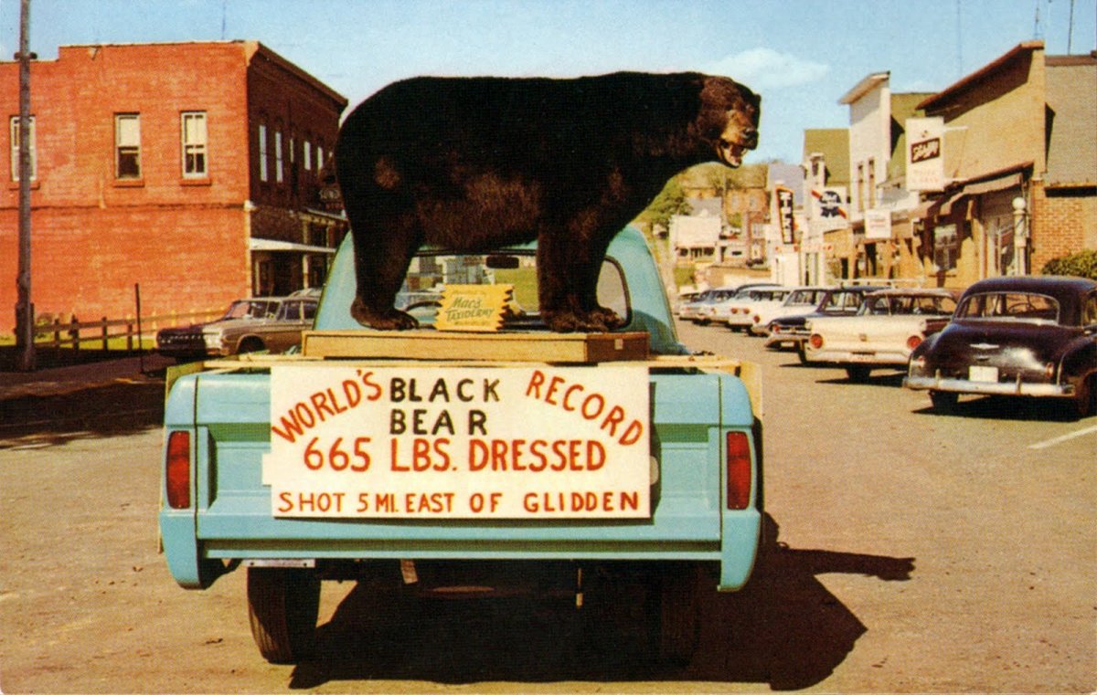 worlds_record_black_bear_glidden_WI.jpg