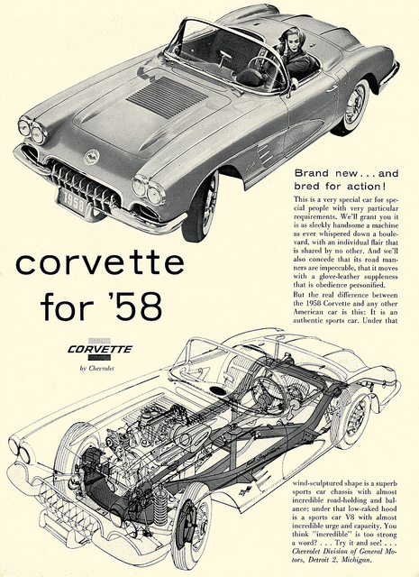 xray vette.jpg