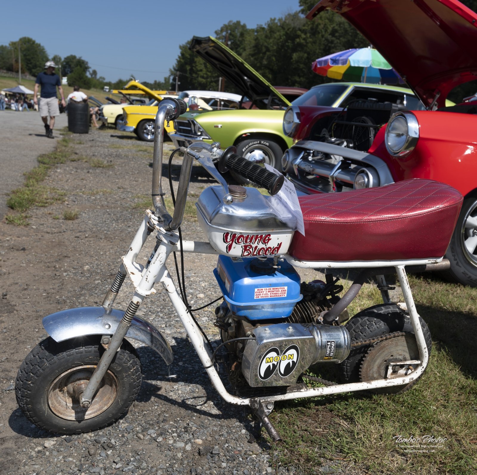 Young Blood Mini Bike.jpg