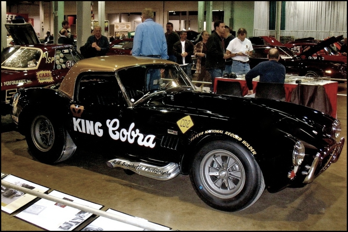 Z King Cobra.jpg