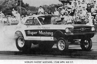154265-Mustang.jpg