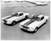 gt350&b Shelby.jpg