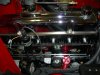 DSCN0955.jpg