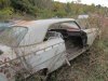 IMG_3451.JPG