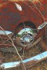 rusty studebaker_10 x 7.jpg