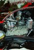 flathead  10 x 7.jpg