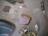 SDC10806.JPG