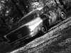 113_0008-Optimized.jpg
