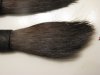 3DeadBrushes9.jpg