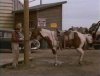 Tow Truck on Jake and the kid 1995 - Copy.jpg