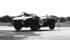 SHELBY COBRA p2 GVR 65etceterini.jpg