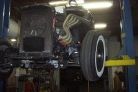 36 T -1 week003comp.JPG