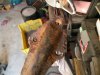 DSCN9165.JPG