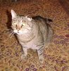 moe-oct06.JPG
