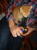 cat bong.jpg