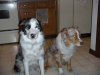 DSCN0056.jpg