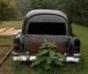 55 Chevrolet Hearse 002 HAMP.jpg