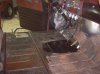 100_4681.jpg